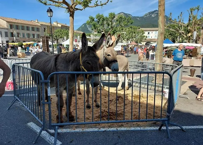 Large Cozy In /gorges Du Verdon Apartamento *